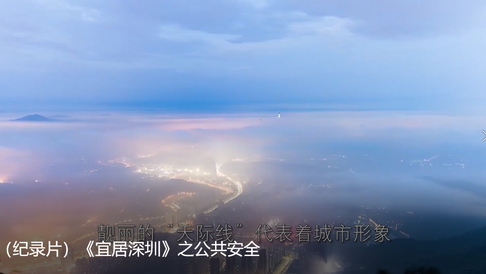 《宜居深圳》之公共安全
